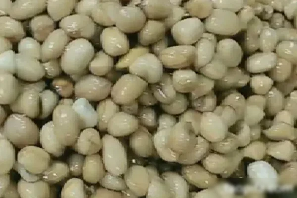 图片[1]-四季怪味花生米视频教程-爱尚配方网