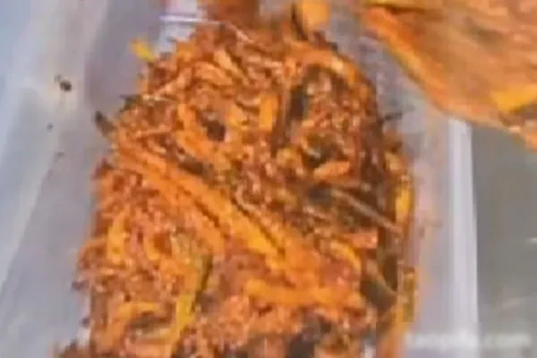 韩式香辣萝卜条和韩式香辣萝卜丝技术-爱尚配方网