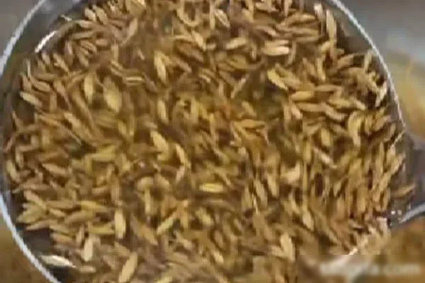 《孜然菠菜》和《万能素菜汁》视频教程-爱尚配方网