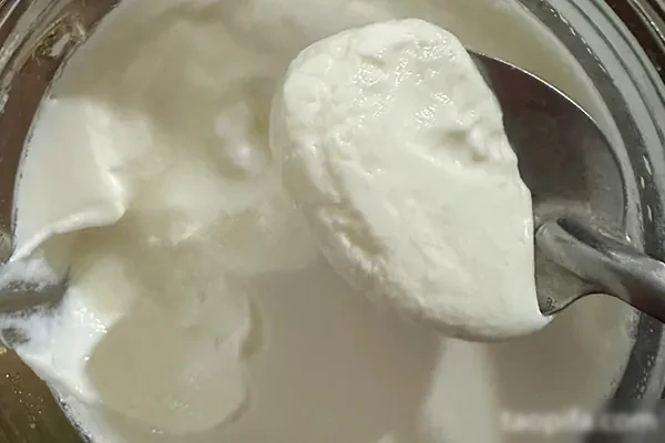 图片[1]-蜜思甜品五款手工酸奶一款麦片大合集一年四季都能火爆热销-爱尚配方网