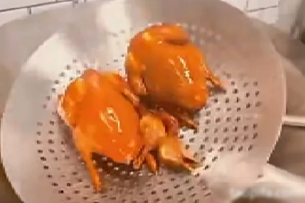 烧腊技术配方和视频教程（10套）合集-爱尚配方网