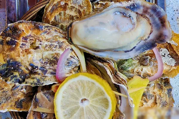 图片[1]-网红高压锅生蚝制作视频教程-爱尚配方网