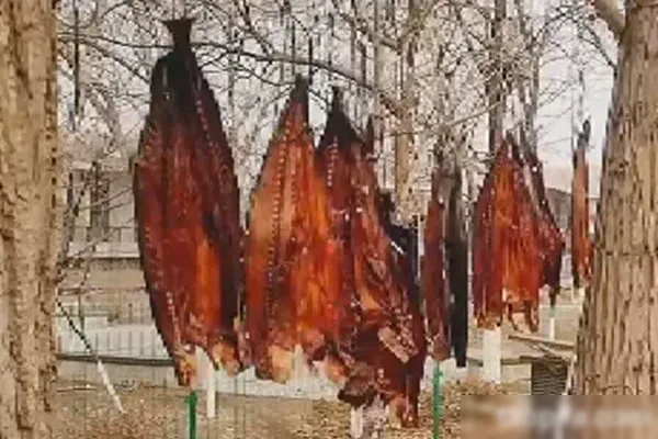 酱香风干手撕鲅鱼视频教程-爱尚配方网