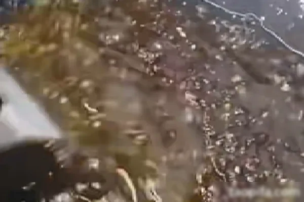 图片[1]-广东顺德秘制啫鱼酱技术配方和视频教程-爱尚配方网