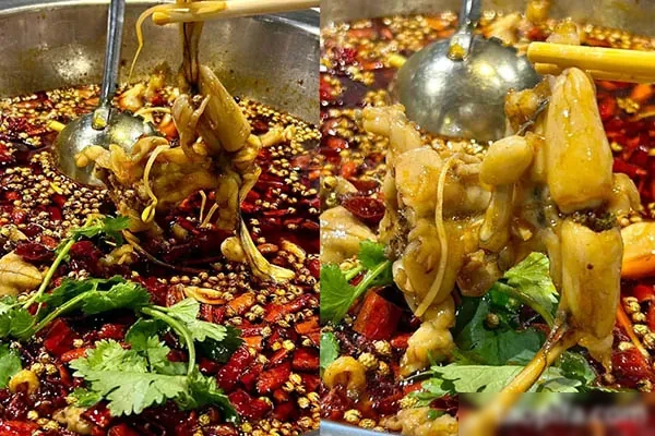 图片[1]-美蛙鱼头技术配方资料-爱尚配方网