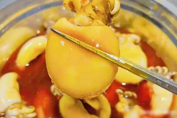 辣卤海鲜汁(纯商用配方)视频教程-爱尚配方网