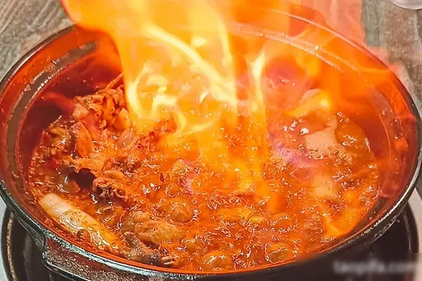 图片[1]-特色引流菜（药膳火焰鸡)  技术配方和视频教程-爱尚配方网