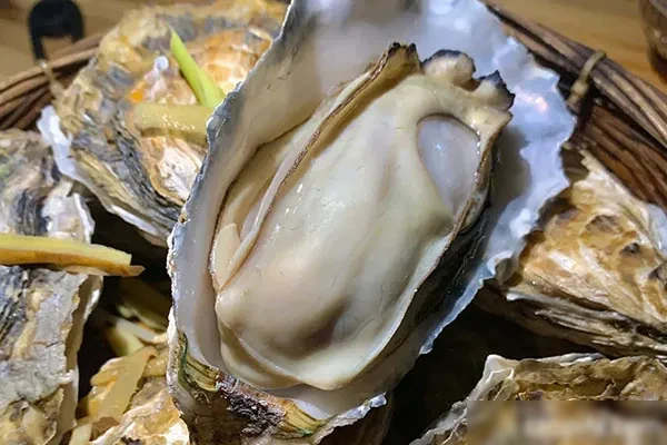 网红高压生蚝-爱尚配方网