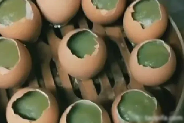 实蛋材料制作(商用版) 视频教程-爱尚配方网