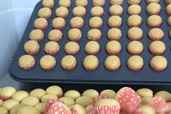 图片[1]-烘焙蛋糕仔书籍教学及视频教程-爱尚配方网