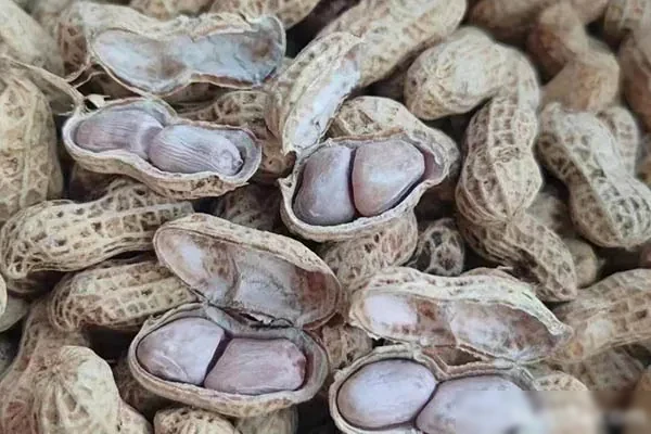 手工花生制作视频教程-爱尚配方网