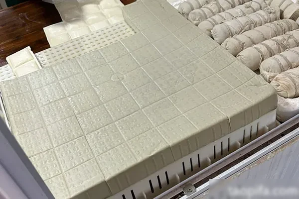 图片[1]-实体店豆腐制品加工技术配方资料-爱尚配方网