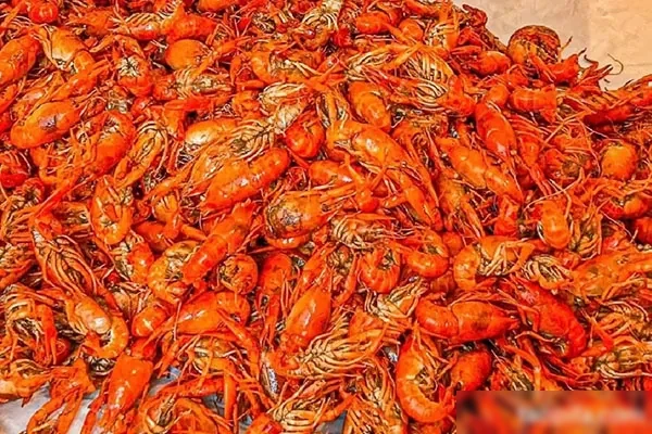 上影卤水龙虾技术配方和视频教程-爱尚配方网