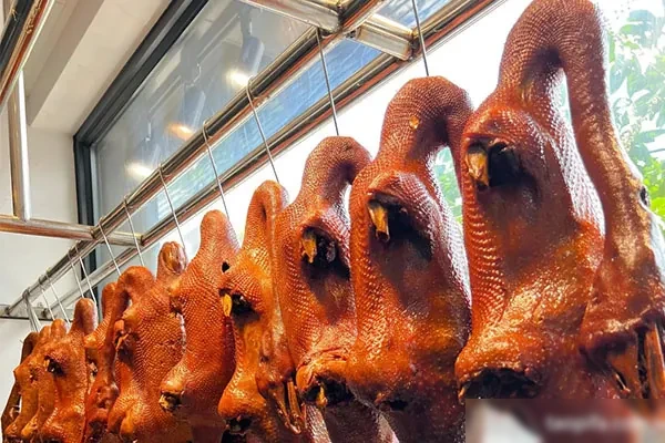 卤鹅实体店实战核心视频教程-爱尚配方网